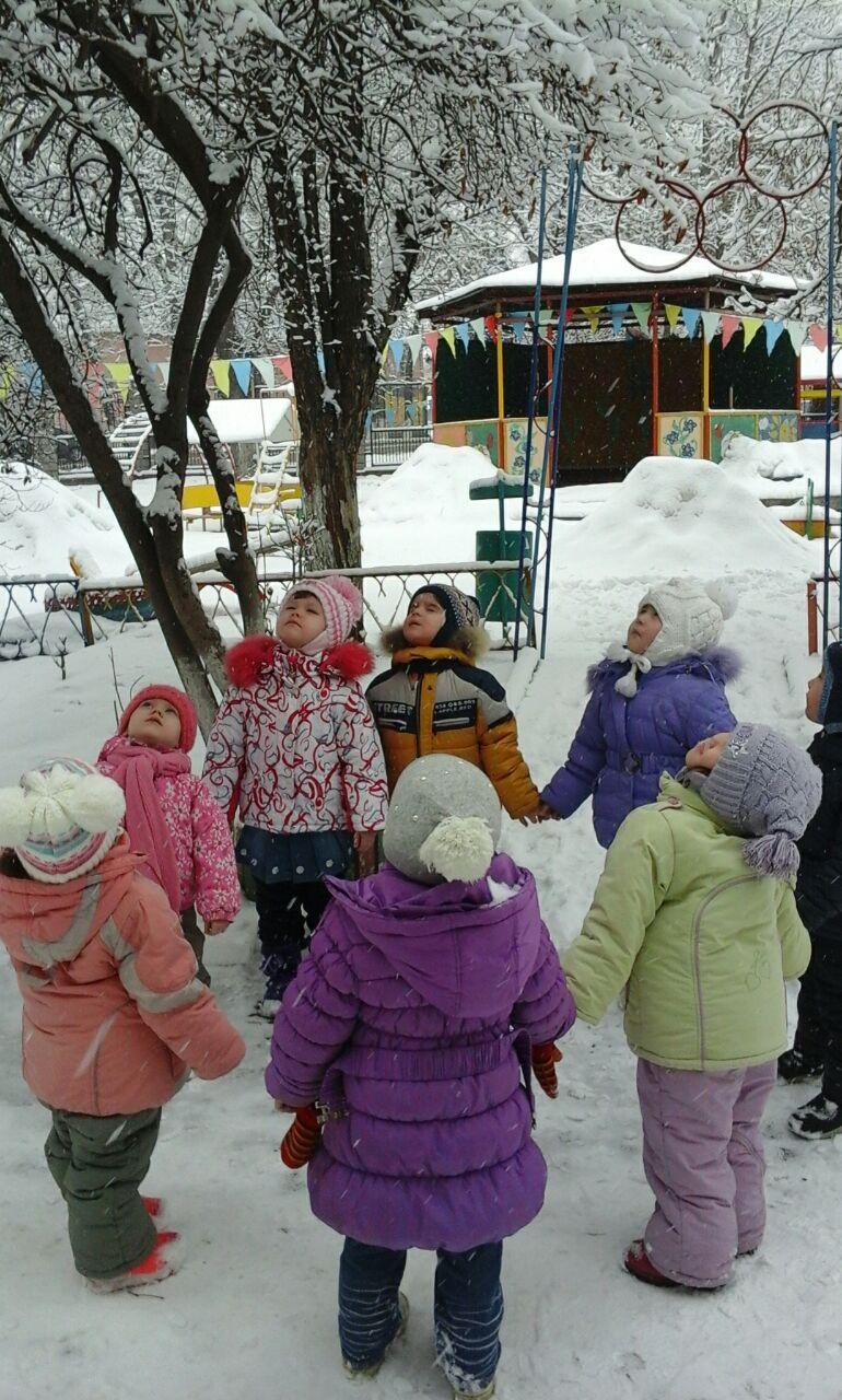 Тематическая прогулка "Зима"